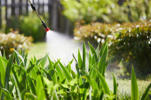 24/7 Emergency Ant Control experts in Greenup, IL